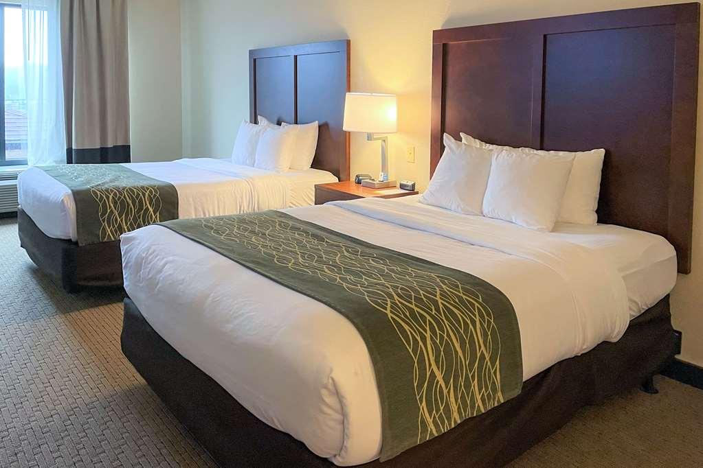 Comfort Inn&suites Hotel 3*