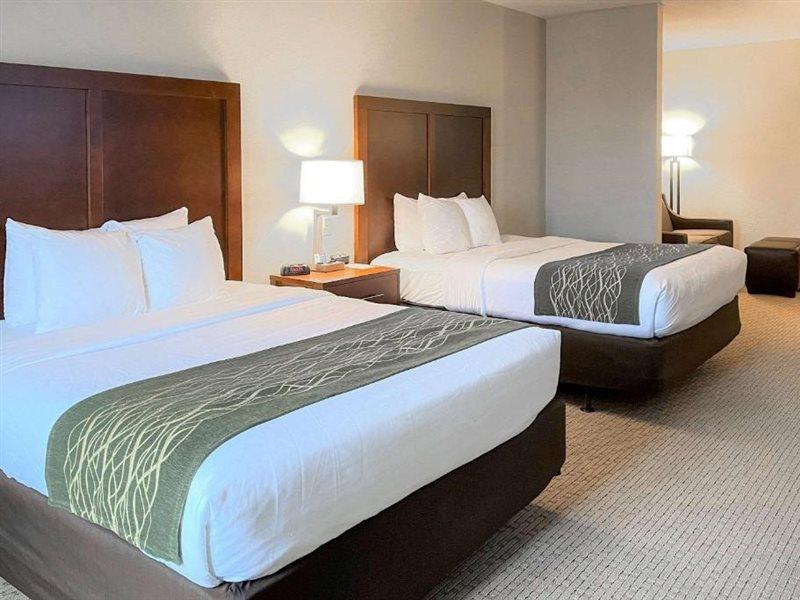 Comfort Inn&suites Hotel Rogersville