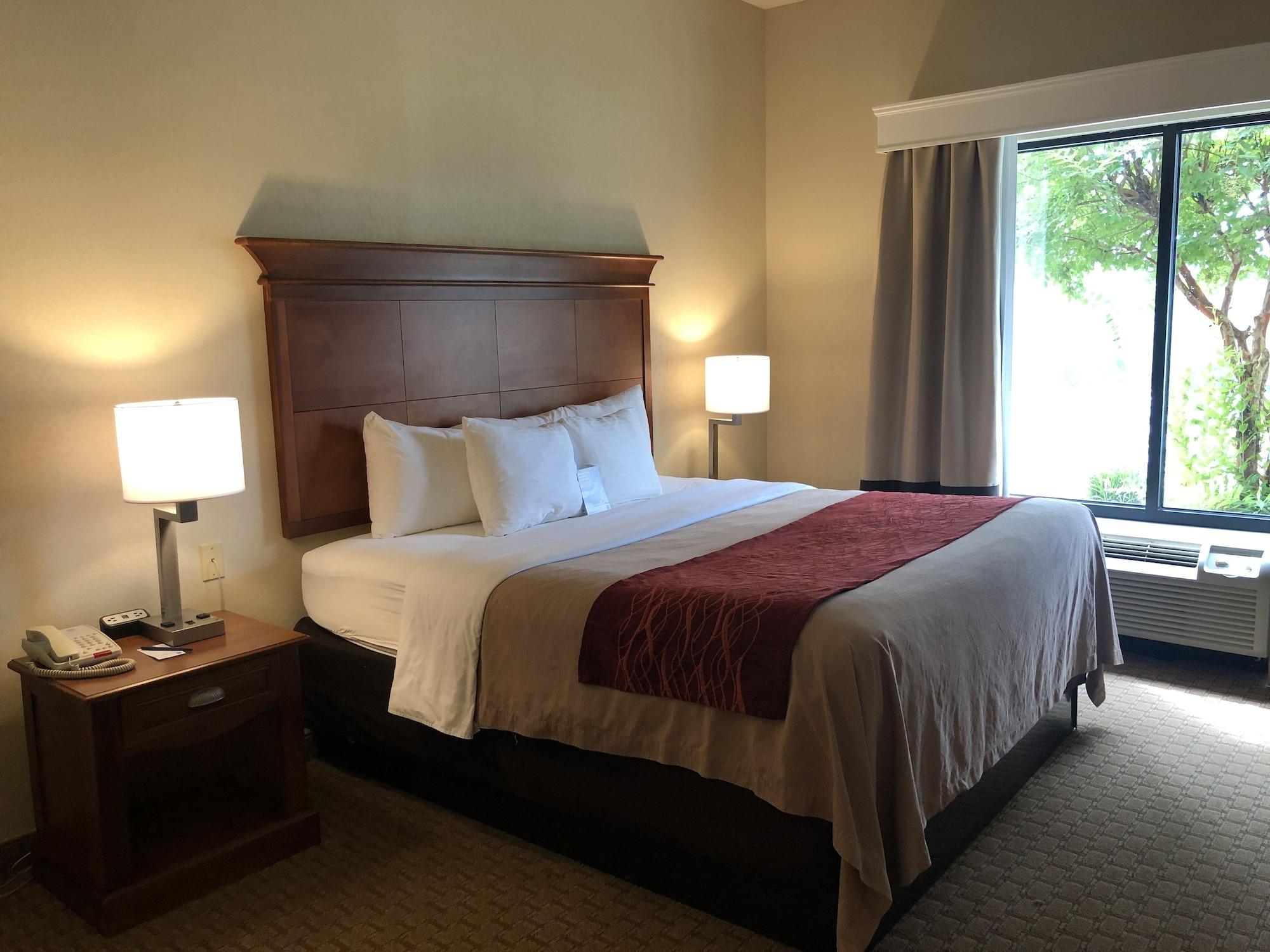 Hotel Comfort Inn&suites Rogersville