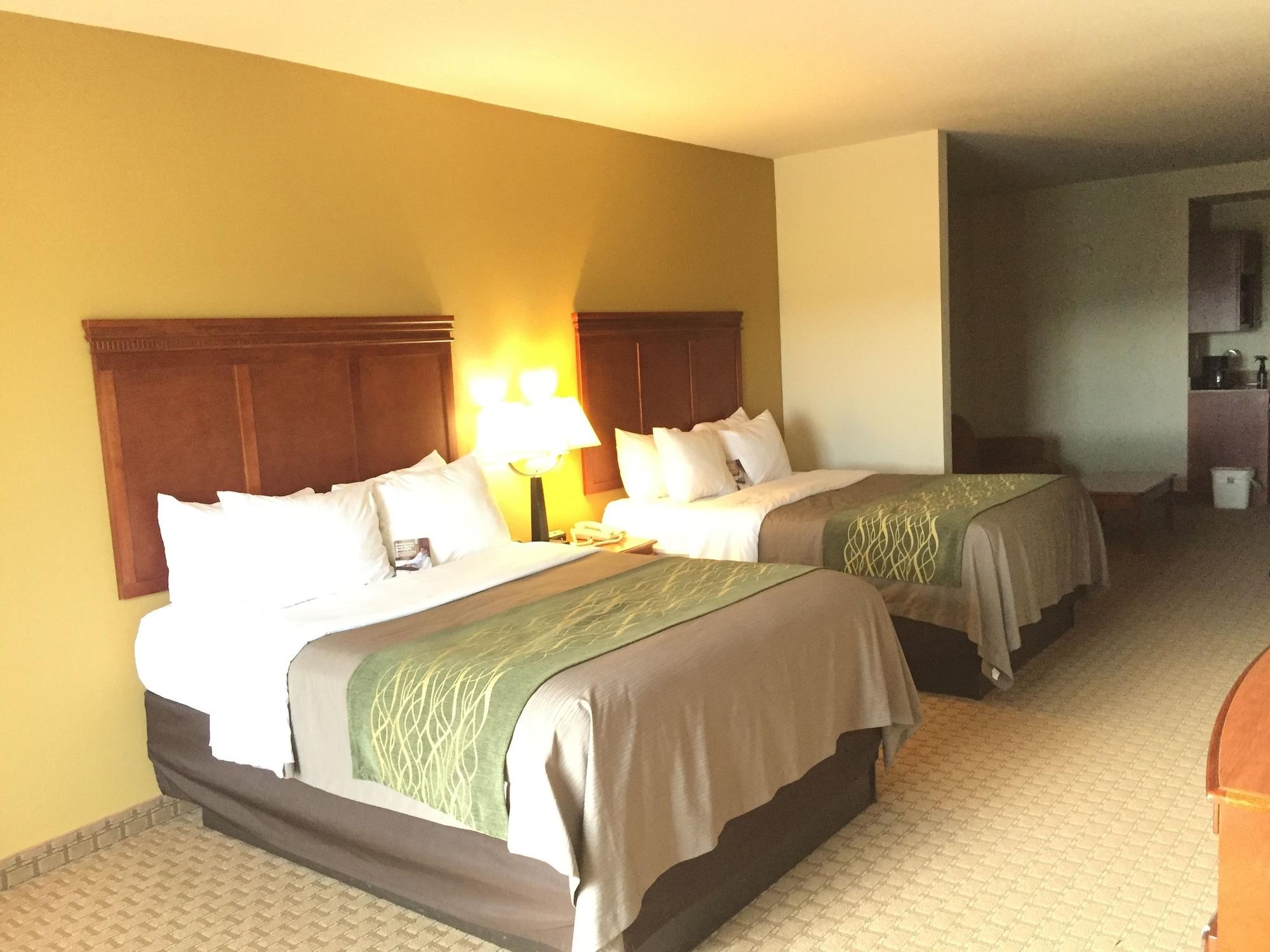Comfort Inn&suites 3* Rogersville